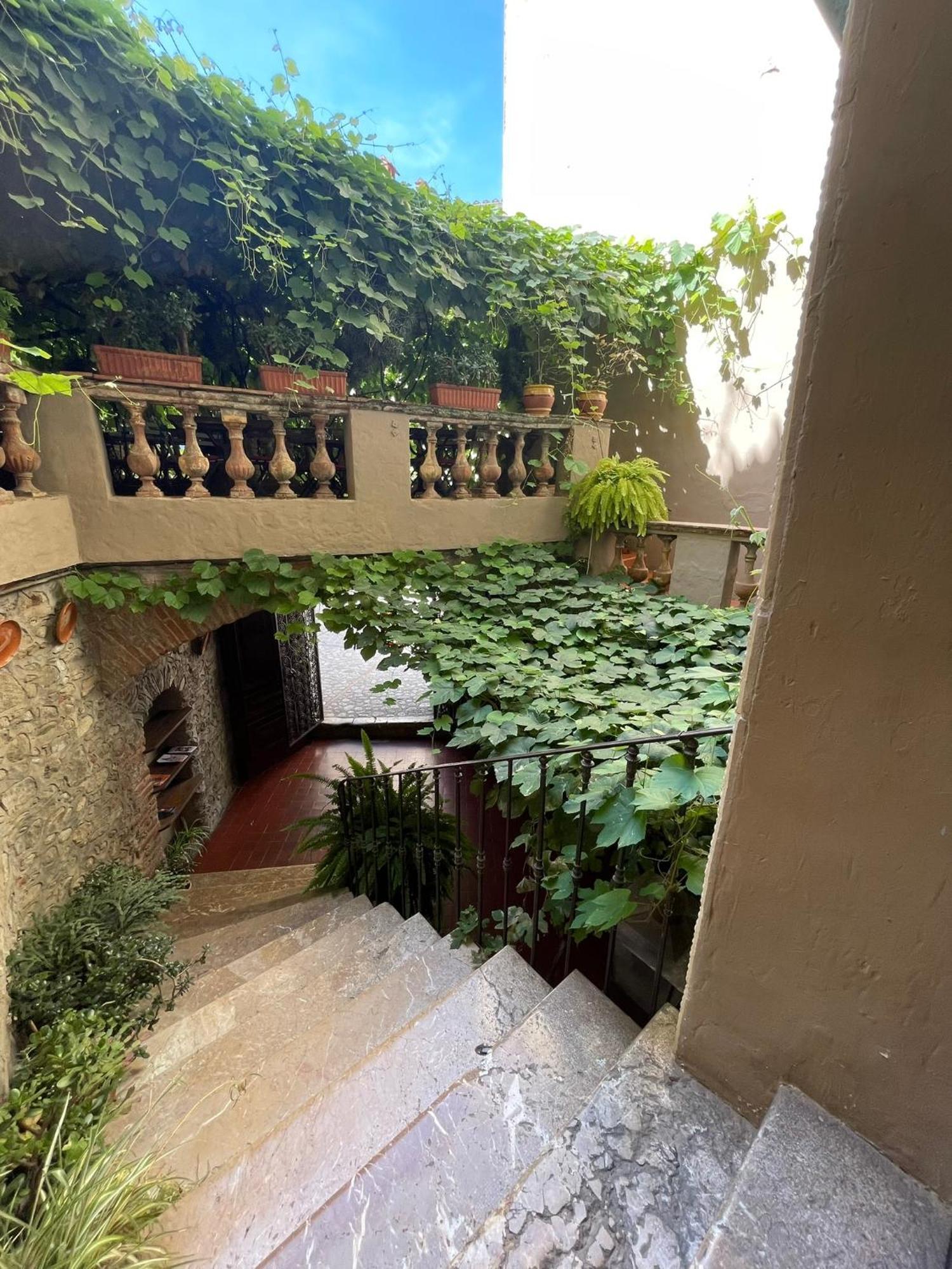 Hotel Vidal Ceret Exterior photo