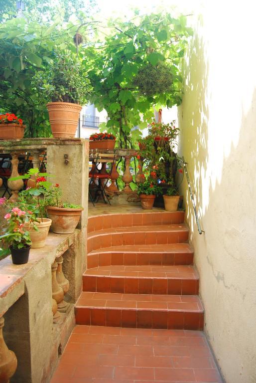 Hotel Vidal Ceret Exterior photo