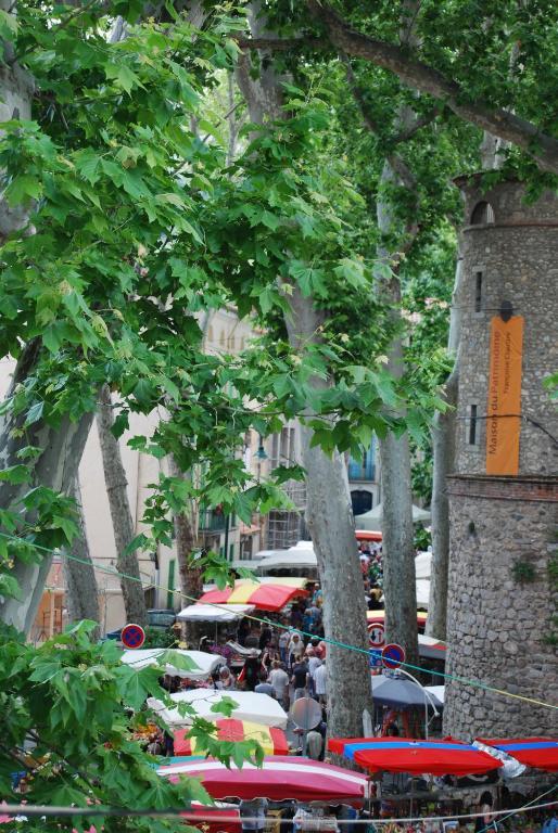 Hotel Vidal Ceret Exterior photo
